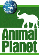animal_planet_logo_2942
